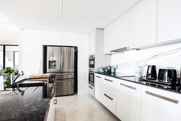 Stainless steel fridge and appliances