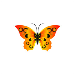 Fototapeta na wymiar illustration vector graphic of beautiful butterfly