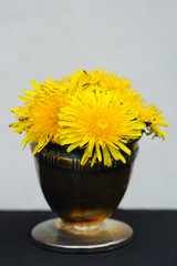 Small bouquet of bright yellow dandelion flowers in an egg cup