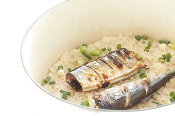 Japanese food, pacific saury and steamed rice 