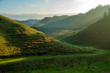 Obraz premium Wczesna poranna mgła na stacji suchego towaru w Nowej Zelandii