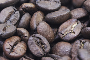 Roasted brazilian coffee beans