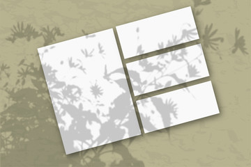 Several horizontal and vertical sheets of white textured paper against a olive wall. Mockup overlay with the plant shadows. Natural light casts shadows from the tops of field plants and flowers