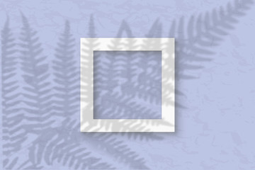 The square frame on a pastel blue wall background. Mockup overlay with the plant shadows. Natural light casts shadows from the fern leaves. Flat lay, top view