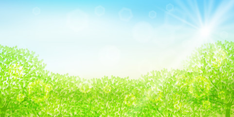 新緑　葉　緑　背景

