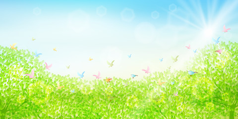 Obraz premium 新緑 葉 緑 背景 