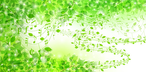 新緑 葉 緑 背景 Wall Mural Wallpaper Murals J Boy 新緑 葉 緑 背景 Wall Mural Wallpaper Murals J Boy