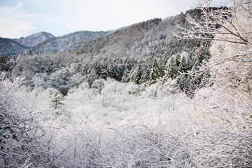 snow covered mountains