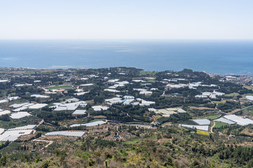 A green seaside village
