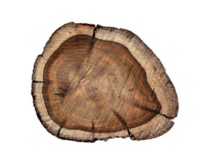 Old wood with patterns for making firewood Stumps on a white background