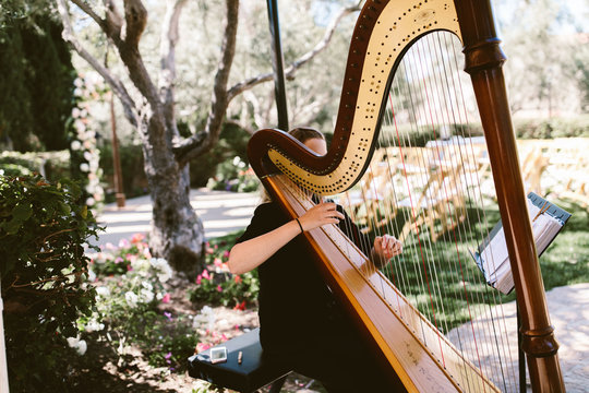 woman playing a harp at an outdoor wedding