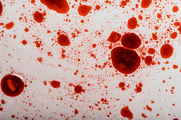 Infectious coronavirus blood splatter