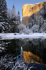 Sunrise on El Capitan reflected in the Merced River with snow covered trees in Yosemite Valley