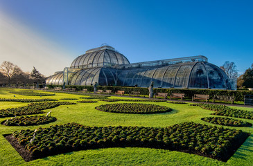 A winter view of the Palm House