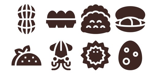 shell icon set