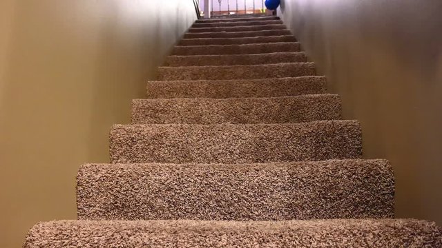 slow motion blue bouncy ball falling down carpeted stairs 