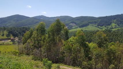 Obraz premium SALESÓPOLIS