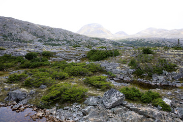 Skagway, Alaska / USA - August 10, 2019: White pass landscape view, Skagway, Alaska, USA