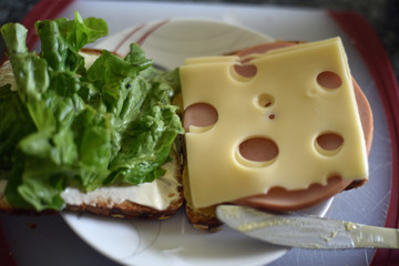 Turkey and Swiss Cheese Sandwich