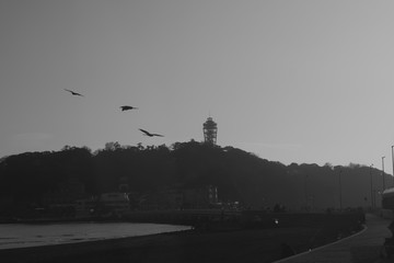 湘南江ノ島