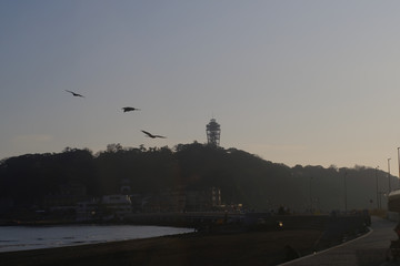 Fototapeta na wymiar 湘南江ノ島