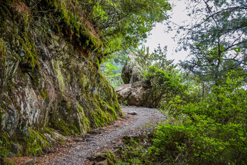 The Highest Mountain on Taiwan Island - Mt.Jade Mountain/YUSHAN  Landscape