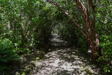 New zeland and their most beatifull landscapes