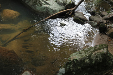 Cachoeira Seca -  Camboriú - Santa Catarina