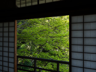 Sliding doors of traditional Japanese house with view of the garden
