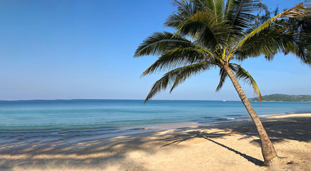 Beach and palm trees on the island of Phuket in Thailand