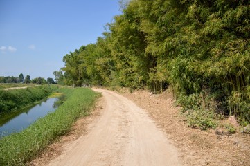 Fototapeta na wymiar dirt road in country Nakhon Nayok Thailand