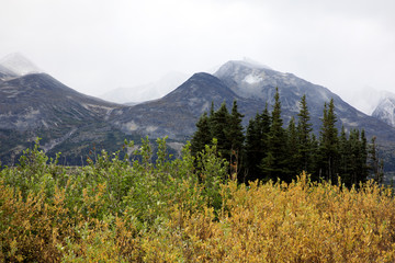 Skagway, Alaska / USA - August 10, 2019: White pass landscape view, Skagway, Alaska, USA