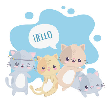 cute little cats hello kawaii cartoon character