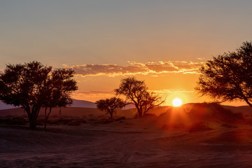 sunrise on desert landscape, hidden Dead Vlei in Namib, view with rising sun, Namibia, Africa wilderness landscape