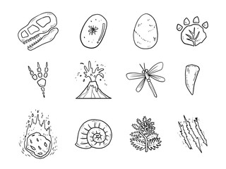 vector illustration set of dinosuar. ancient plants and fossil hand drawn.
