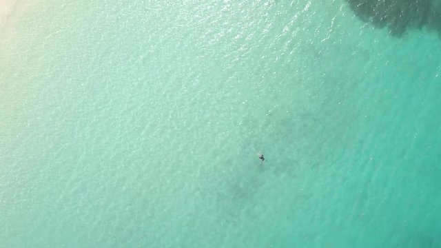 Woman swimming in crystal clear turquoise waters off tropical Pacific island