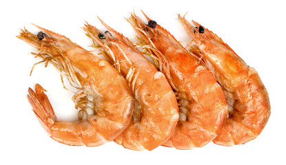 roasted prawn isolated on white background ,grilled shrimp