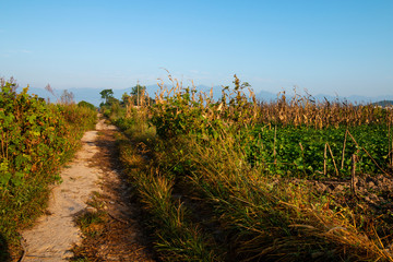 To a distant country road