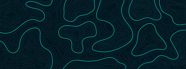 Abstract topographic map background texture, 17:9 wallpaper design for fabric , packaging , web, geographic grid map vector illustration. © TWINS DESIGN STUDIO