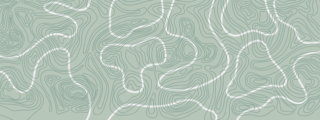 Abstract topographic map background texture, 17:9 wallpaper design for fabric , packaging , web, geographic grid map vector illustration. © TWINS DESIGN STUDIO