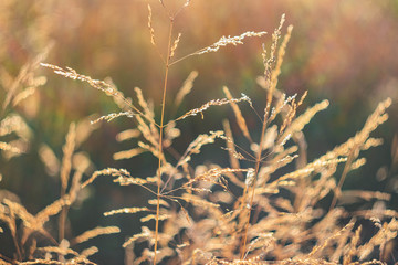 Fototapeta premium Beautiful Carpathians, mountains in clouds, waterfall, close-up, the sunsets beautifully over the mountains