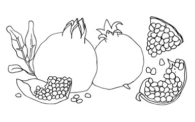 A set of contour vector illustrations with whole pomegranates and pieces of pomegranates.