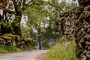 Way to Compostela