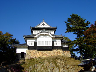 Fototapeta premium 日本百名城の備中松山城