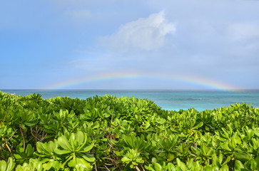 Beautiful  rainbow Atlantis Paradise island 