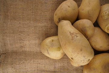 Potatoes stock photo
