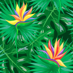 Fototapeta premium Botanical background. Exotic tropical flowers and leaves. Seamless pattern for banners, cards, fabric and web design. Isolated vector illustration.