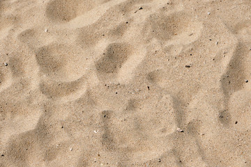 Smooth Sand Texture from a Local Beach