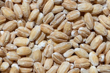 Solid background of raw pearl barley macro