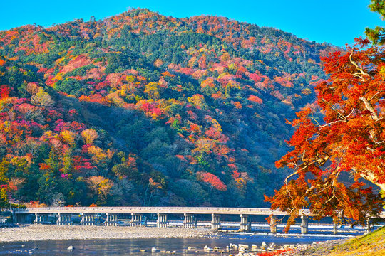 紅葉シーズン京都嵐山、紅葉した山並みと渡月橋
